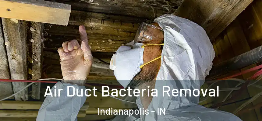  Air Duct Bacteria Removal Indianapolis - IN