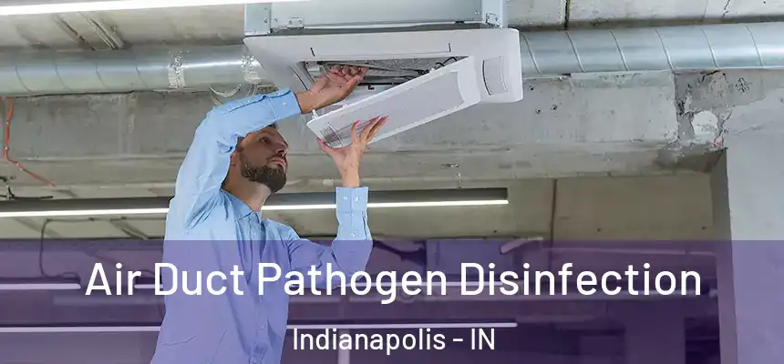  Air Duct Pathogen Disinfection Indianapolis - IN