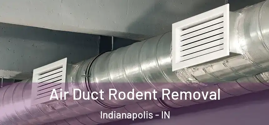  Air Duct Rodent Removal Indianapolis - IN