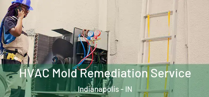  HVAC Mold Remediation Service Indianapolis - IN