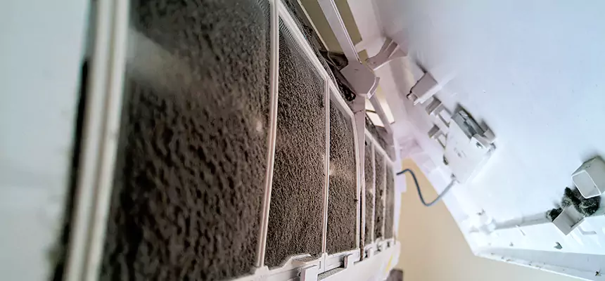 Preventive Air Duct Bacteria Removal in Indianapolis