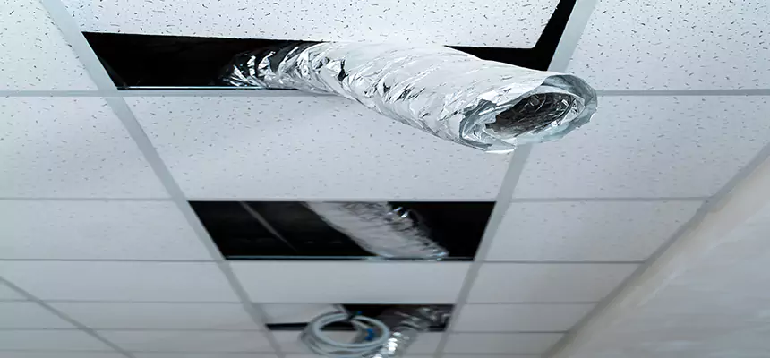 Our Air Duct Pet Hair Removal Services in Indianapolis, IN