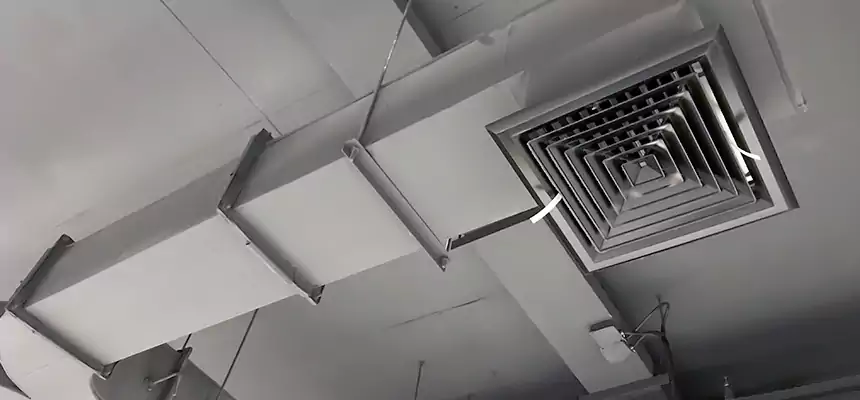 Restorative Allergy Relief Vent Cleaning – Coil, Blower & Housing Detail in Indianapolis