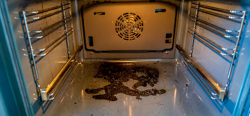 Our Dryer Vent Mold Cleaning Services in Indianapolis, IN