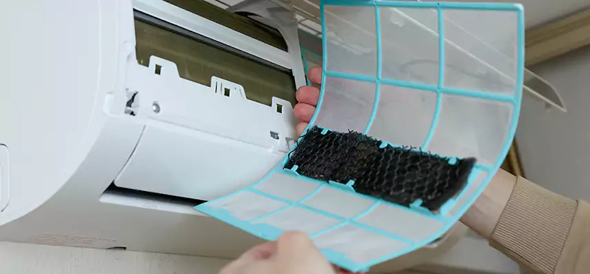 Gentle Ductwork Odor-Control Pet Dander Duct Cleaning in Indianapolis, IN