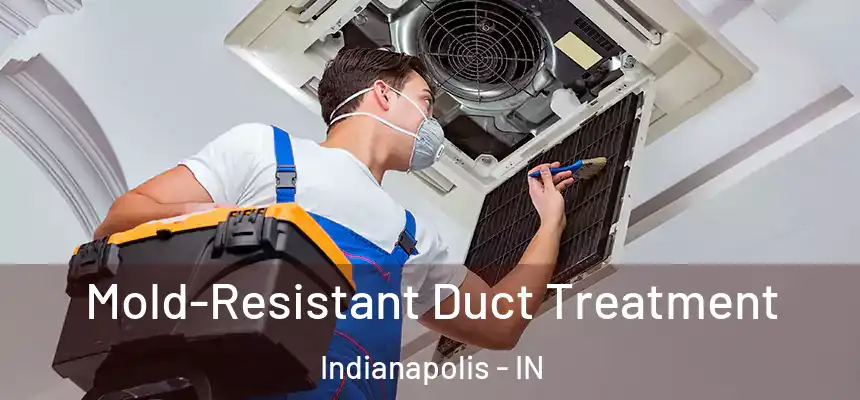  Mold-Resistant Duct Treatment Indianapolis - IN