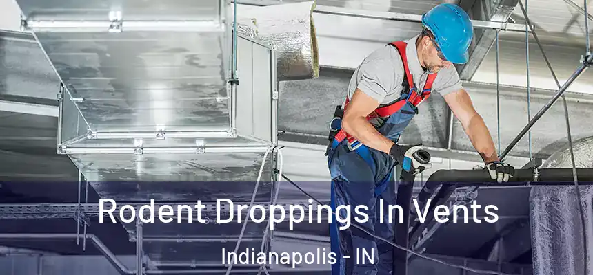  Rodent Droppings In Vents Indianapolis - IN