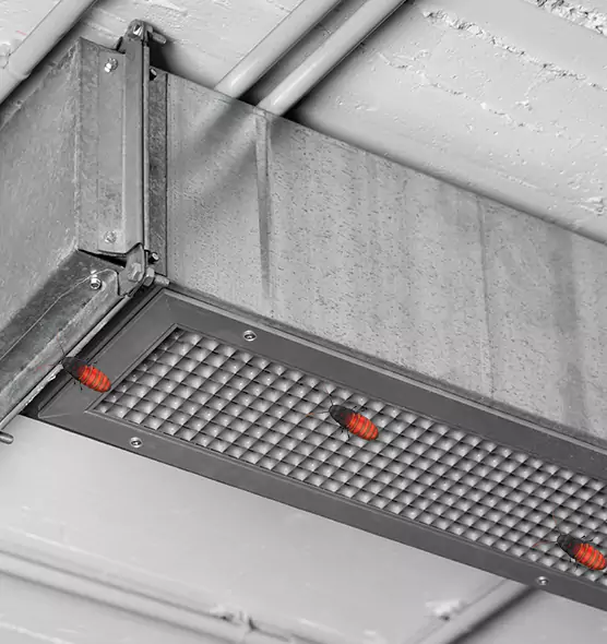 About Air Duct Cockroach Removal in Indianapolis, IN