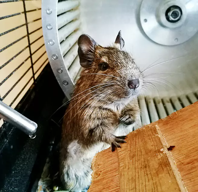 Why Homeowners & Businesses Trust Us Indianapolis, IN