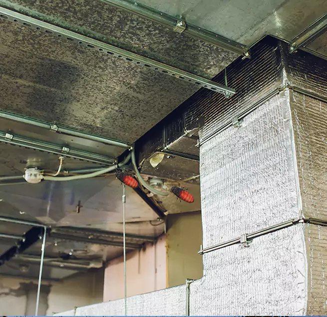 Why Homeowners & Businesses Trust Us Indianapolis, IN?