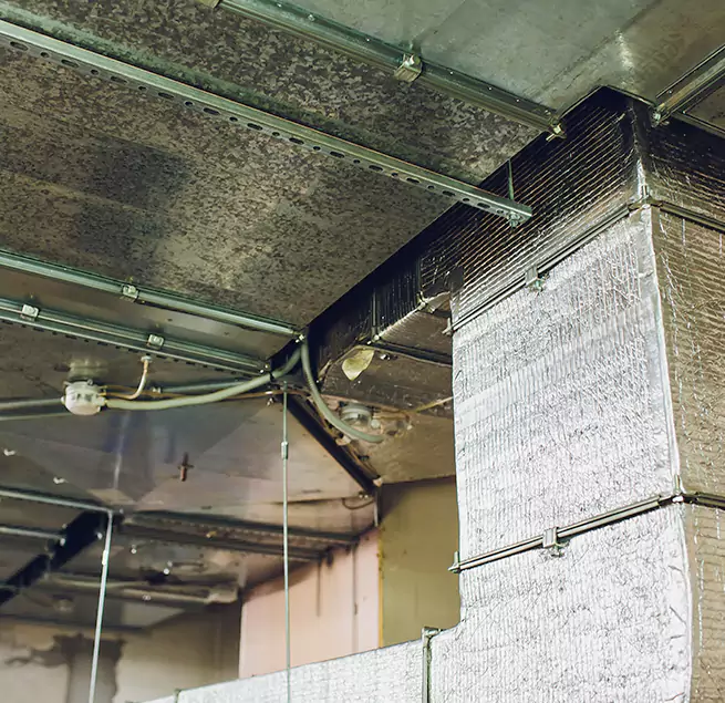 Why Homeowners & Businesses Trust Us in Indianapolis, IN?