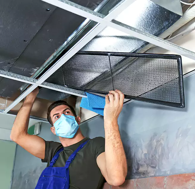 Why Homeowners Businesses Trust Us in Indianapolis, IN